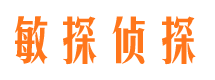 临川调查事务所